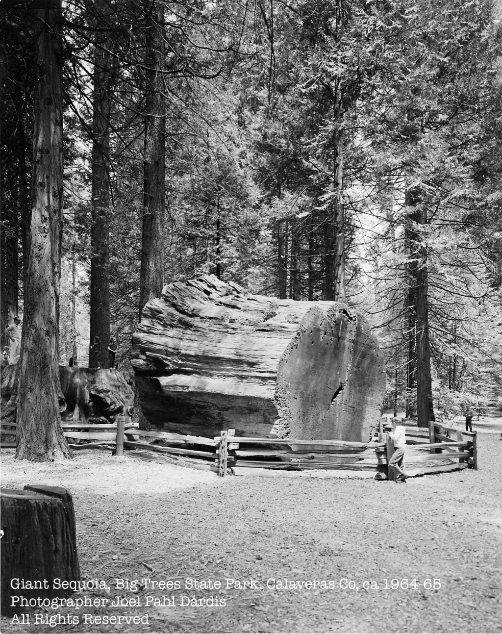 Vallecito, Big Trees, Calaveras, JFC,&nbsp;1964-1965